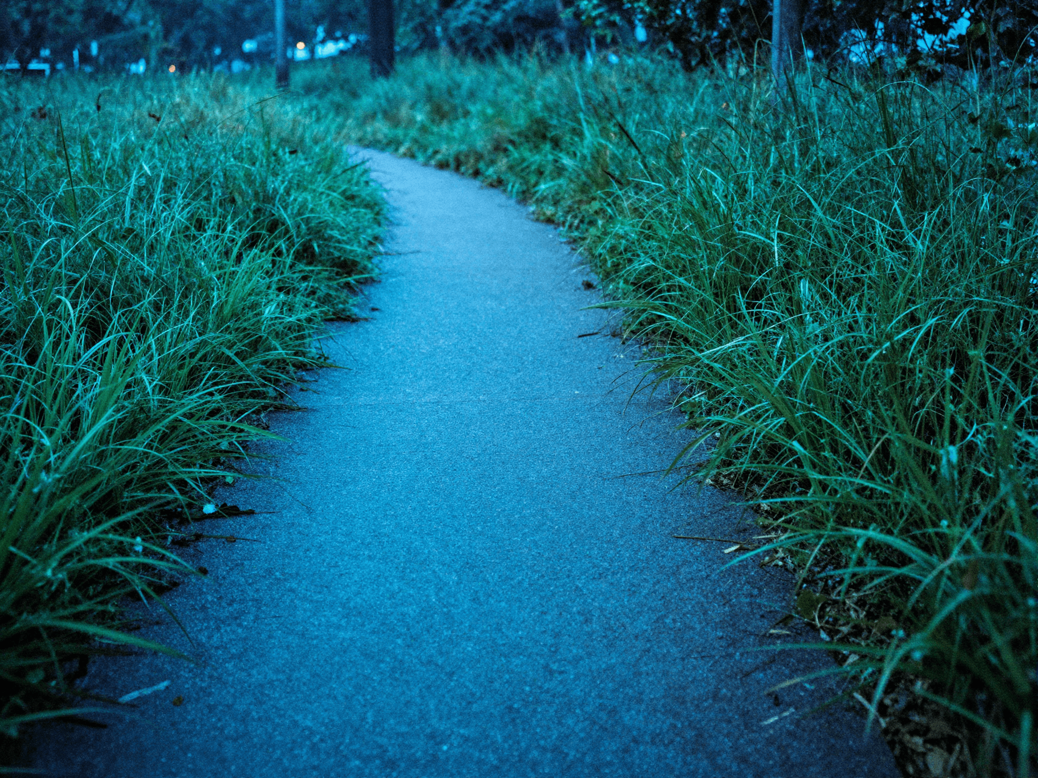 Starting in a park, ending in a murmur — soopie's full session