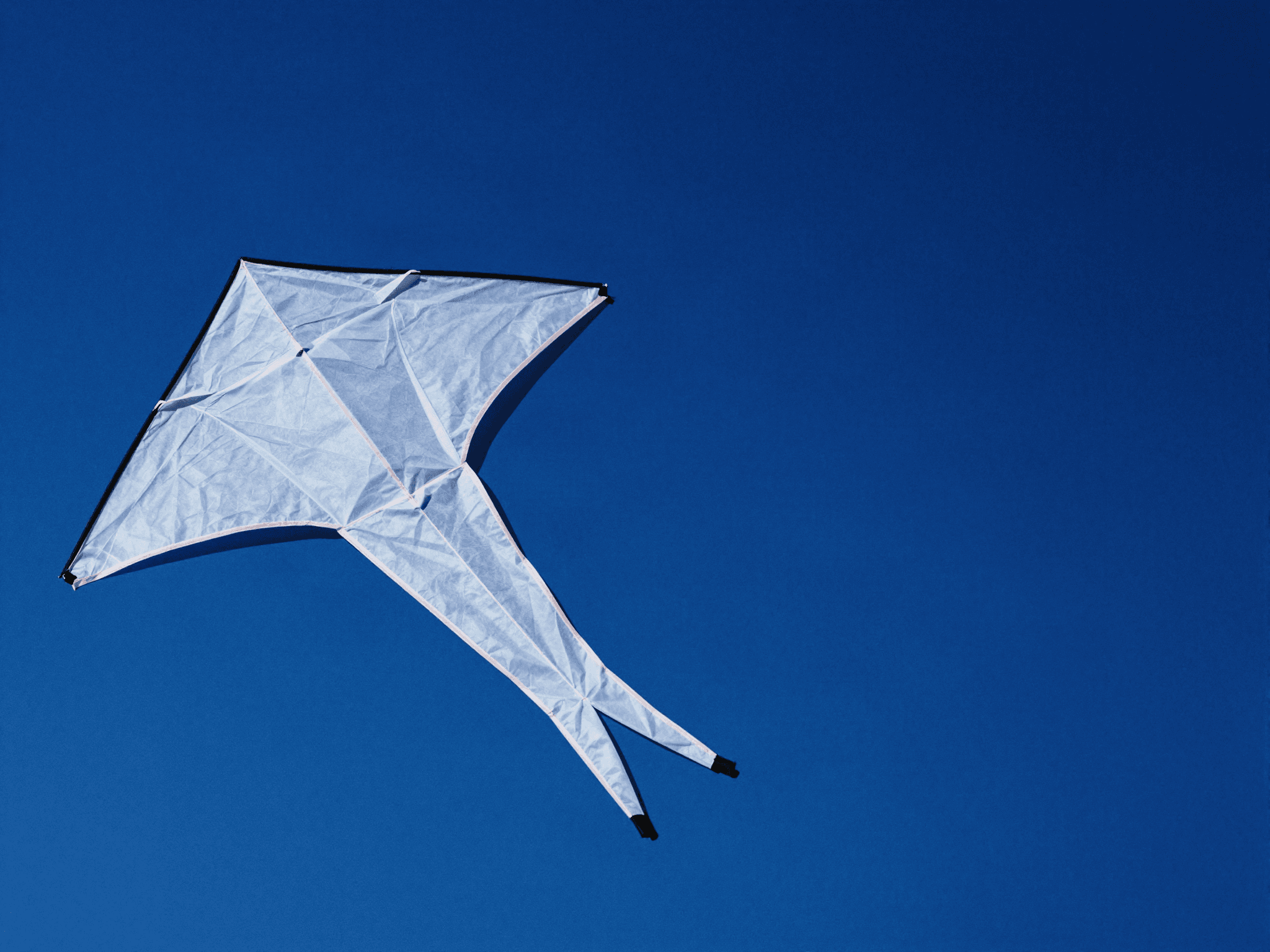 The kite goes up the day after tomorrow — WayV's 'Vision Wings'