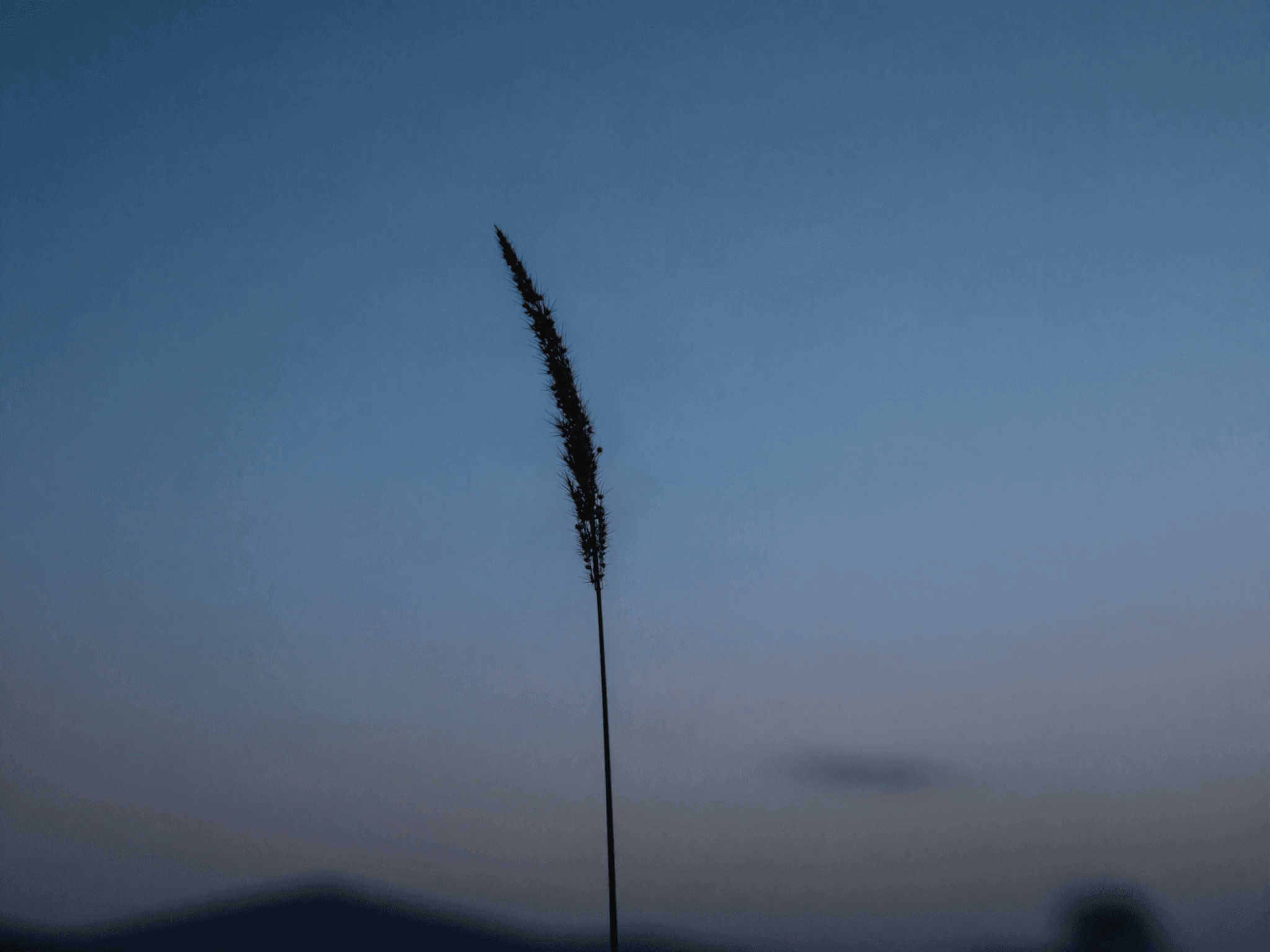 It lives two years, leaves for outer space, and ends as wind — YoilBando's full NONOL LIVE set