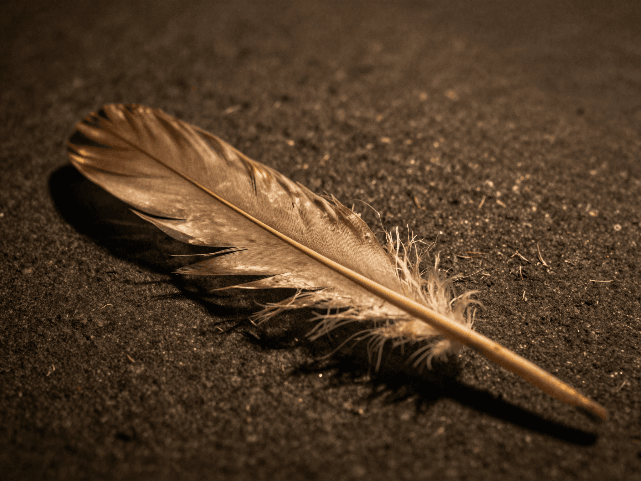 On the Way a Name Is Called — Hong Sung Yun, 'Bongiroguna'