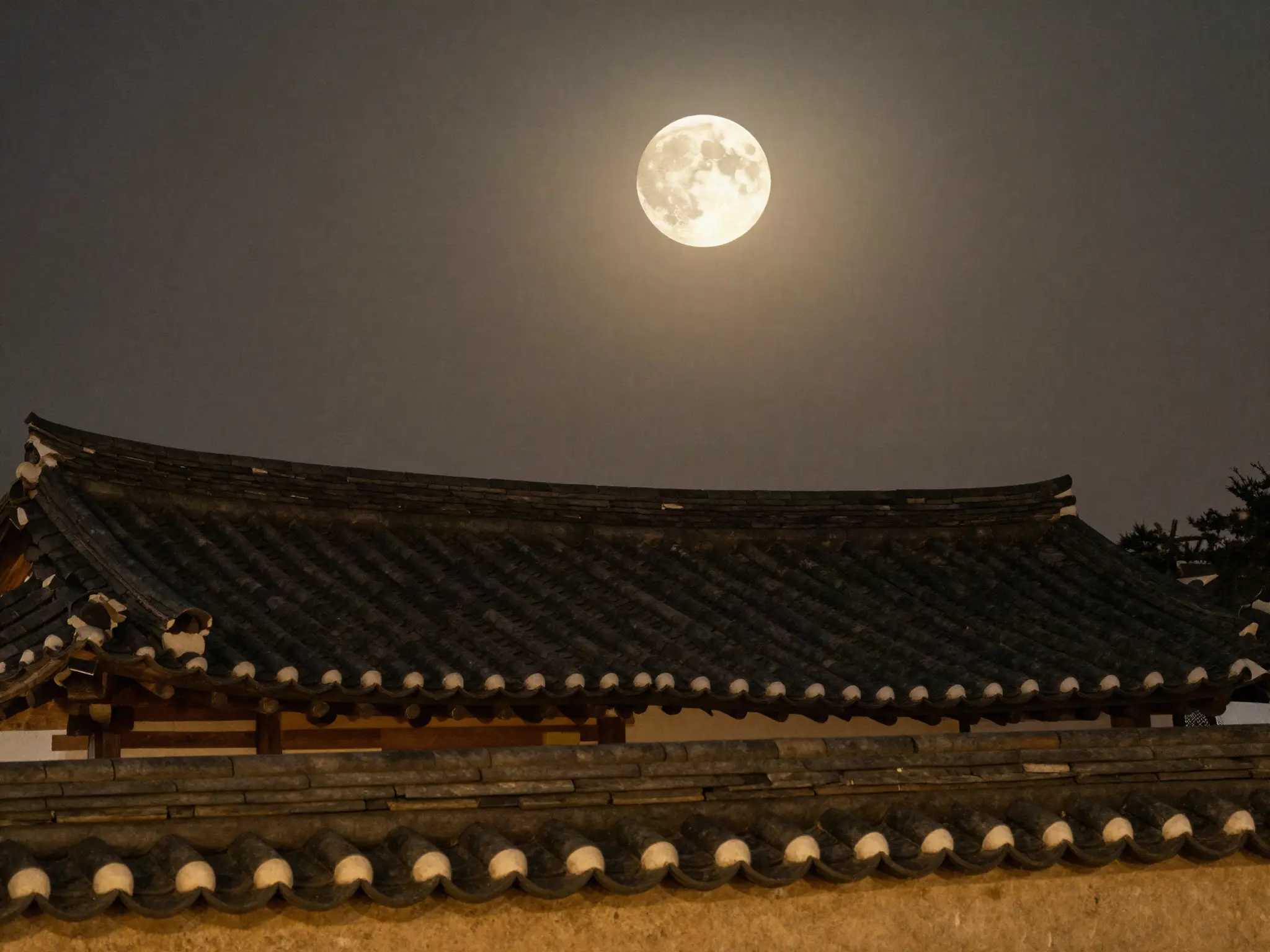 베이시스트 입대 직전 이틀, 리도어가 올림픽홀에 선다