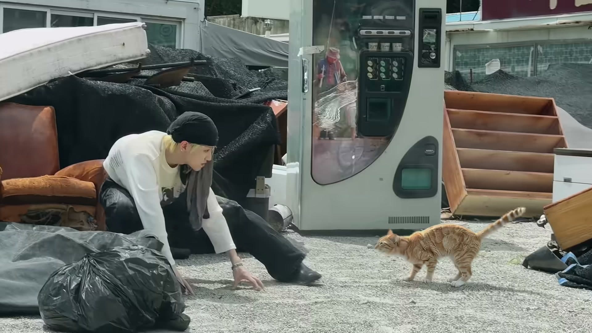 보이넥스트도어 'ANIMAL' 뮤직비디오, 다시 볼 때 보이는 일곱 가지